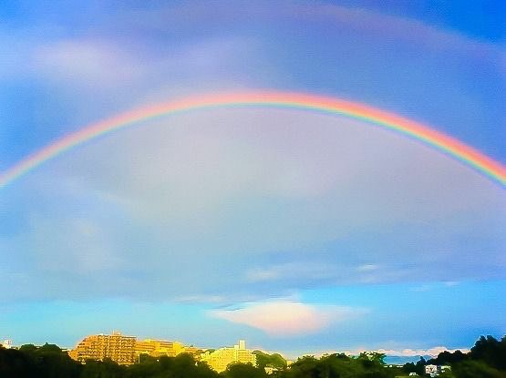 【8月の実務トピックス】