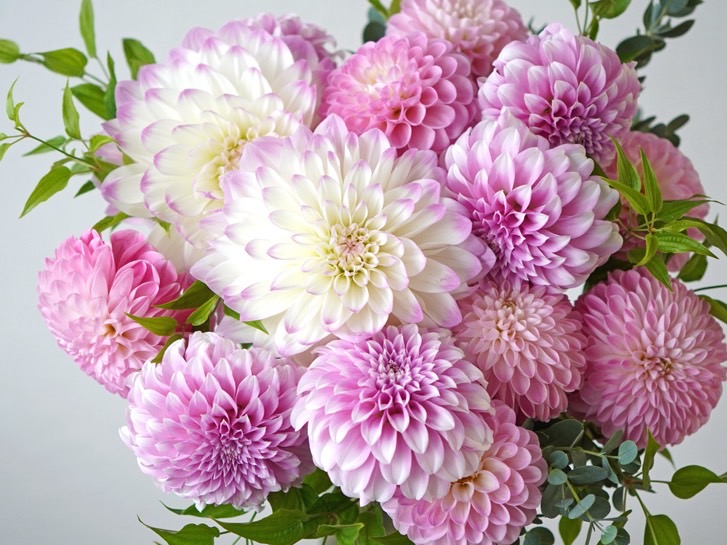 【9月の実務トピックス】